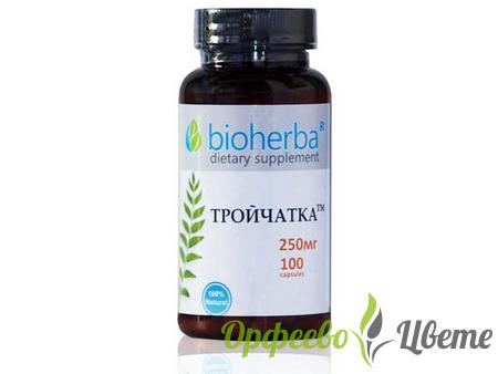 ХРАНИТЕЛНИ ДОБАВКИ Детоксикация ТРОЙЧАТКА 250 МГ КАПСУЛИ * 100 БИОХЕРБА